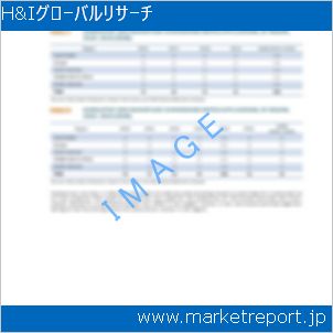 市場と産業調査レポートのイメージ